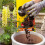 Miracle-Gro Miracle-Gro PEAT FREE Premium All Purpose Compost, 20 litre, Brown 3