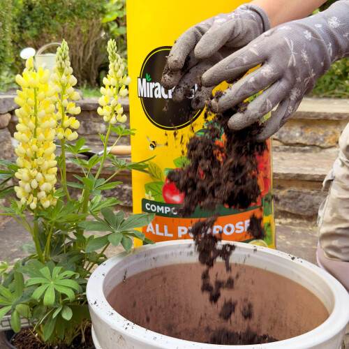 Miracle-Gro Miracle-Gro PEAT FREE Premium All Purpose Compost, 20 litre, Brown 2