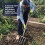 Spear & Jackson Spear & Jackson 4550DF Traditional Stainless Steel Digging Fork 3