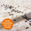 ARDAP Pest Control Spray 750ml - With immediate and long-term effects - Insect s 6