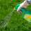 Weedol Weedol Lawn Weedkiller, ready to use, 1L 3
