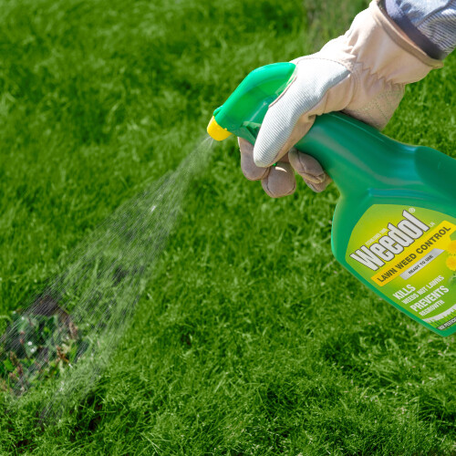 Weedol Weedol Lawn Weedkiller, ready to use, 1L 2
