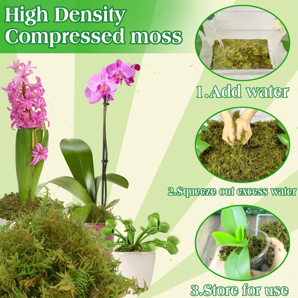 Halatool 500G Premium Sphagnum Moss For Plants - Ideal Orchid Potting