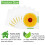 30PCS Window Fly Traps, Flies & Bug Window Fly Trap, Fly Trap Killer 3