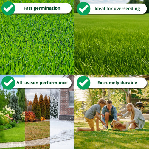 A1 Lawn, Multi-Purpose Grass Seed - Fast Growing, Hard-Wearing Lawn, 1