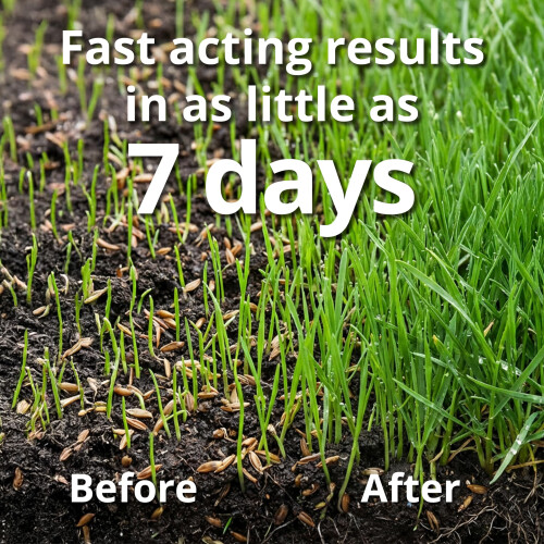 A1 Lawn, Multi-Purpose Grass Seed - Fast Growing, Hard-Wearing Lawn, 2