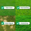 A1 Lawn Multi Purpose Grass Seed, Fast Growing, Pet & Child Friendly 5