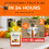 Catchly Fruit Fly Trap - 2 pack, Highly Effective Fruit Fly Killer 2