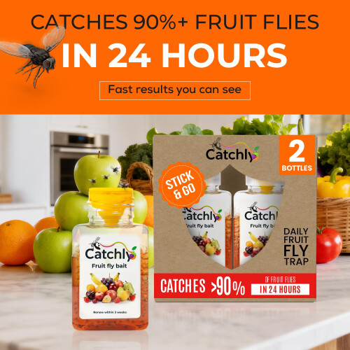 Catchly Fruit Fly Trap - 2 pack, Highly Effective Fruit Fly Killer 1
