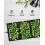 HBN Durable Seedling Heat Mat,Waterproof Hydroponic Heating Pad,Seedling Heating 3