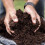 Clover Multi-Purpose Compost - 60 Litres, Healthy Growth from Nutrient Enriched 2