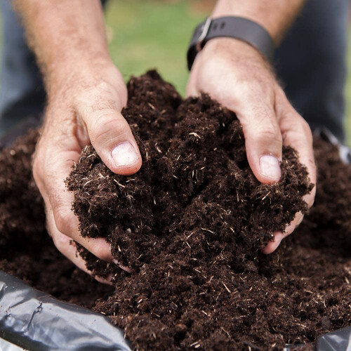 Clover Multi-Purpose Compost - 60 Litres, Healthy Growth from Nutrient Enriched 1