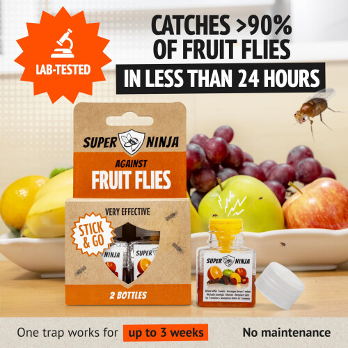 Super Ninja Fruit Fly Trap - 1 pack, Highly Effective Fruit Fly Killer for Home 1