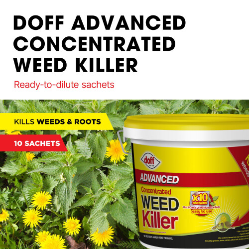 Doff Doff Advanced Concentrated Weedkiller - 10 Sachets for Dilution in Water for Gar 1