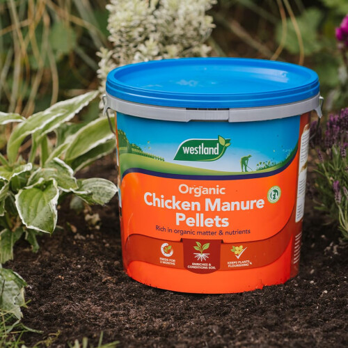 Westland Organic Chicken Manure Pellets Bucket 8kg 1