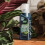 Westland Houseplant Feed Concentrate 200ml 2