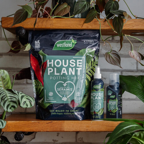 Westland Houseplant Feed Concentrate 200ml 2