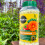 Miracle-Gro Miracle-Gro Continuous Release All Purpose Plant Food, 900G, White 2