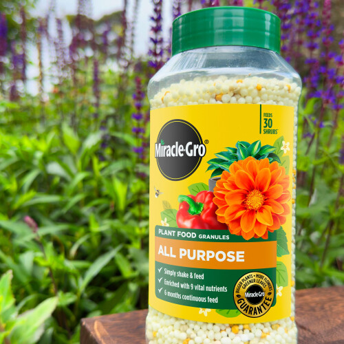Miracle-Gro Miracle-Gro Continuous Release All Purpose Plant Food, 900G, White 1