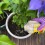 Miracle-Gro Miracle-Gro Continuous Release All Purpose Plant Food, 900G, White 3