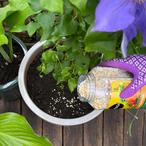 Miracle-Gro Miracle-Gro Continuous Release All Purpose Plant Food, 900G, White 2