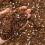 Coco Perlite Mix 70/30 with activated biochar - Enhanced Potting Soil Mix for Op 4