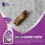 Carpet Moth Killer Spray 650ml Powerful Moth Killer, Moth Repellent 5