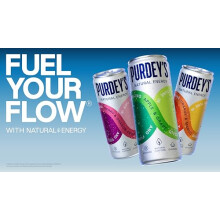 Purdeys Natural Energy Apple Grape 250ml Can Pack of 4