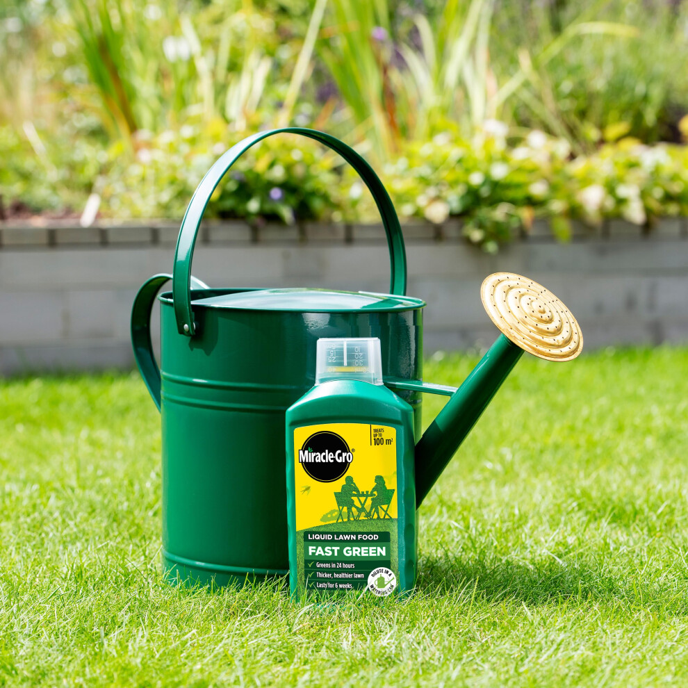 Miracle-Gro Fast Lawn Food Concentrated Liquid, 1 Litre Green