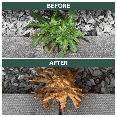 Weedblast Rootkill Weedkiller 2.5L Litre, Ready to use Glyphosate Weed Killer 1