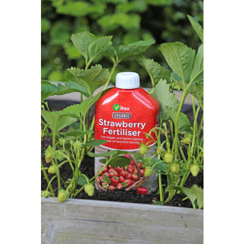 Vitax Organic Strawberry Feed Liquid Fertiliser, 1