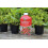 Vitax Organic Strawberry Feed Liquid Fertiliser, 3