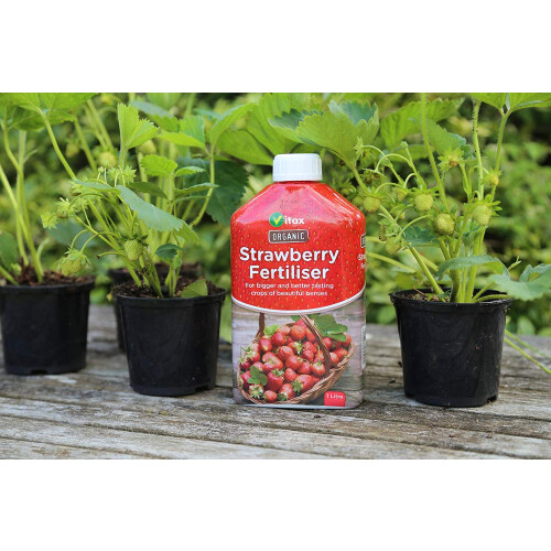 Vitax Organic Strawberry Feed Liquid Fertiliser, 2