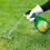 Weedol Weedol Lawn Weedkiller Spray, 800 ml 3