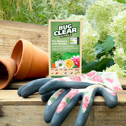 BugClear Ultra 2 Insecticide, for flowers and shrubs, Concentrate, 2