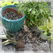 Allgood Farm Ficus & Rubber Plant Soil - Expert Potting Mix for Weeping Fig, Fiddle Leaf, Banyan Fig, Ficus Benjamina, Ficus Elastica (10 Litres)
