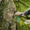 Gardena Gardena combisystem Lawn Edge Trimmer: Practical lawn edge trimmer 3