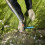 Gardena Gardena combisystem Lawn Edge Trimmer: Practical lawn edge trimmer 4
