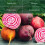 PREMIER SEEDS DIRECT - Beetroot - Rainbow Mix - 6 Grams 2
