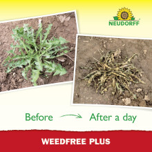 Neudorff WeedFree Plus RTU Weed Killer Spray, 750 ml, Glyphosate Free