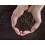 10L Multi Purpose Compost, Multi-Purpose Fertilisers, Gardening Soils for Outdoo 2
