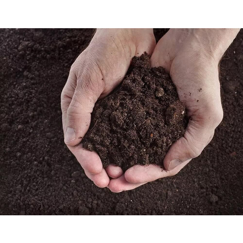 10L Multi Purpose Compost, Multi-Purpose Fertilisers, Gardening Soils for Outdoo 1