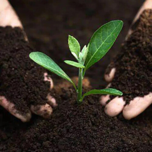 10L Multi Purpose Compost, Multi-Purpose Fertilisers, Gardening Soils for Outdoo 2