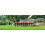 WOLF Garten Wolf-Garten UGM Multi-Change Moss Removal Rake Lawn Care Tool Head 2