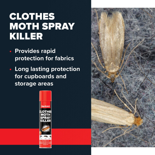 Rentokil PSC100 Clothes Moth Killer Spray, Black,4.8x4.8x23.7 2
