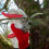 ARS ARS-VS-8XZ 8-inch Secateurs with Single Hand Locking Secateurs with Single Hand Locking 2