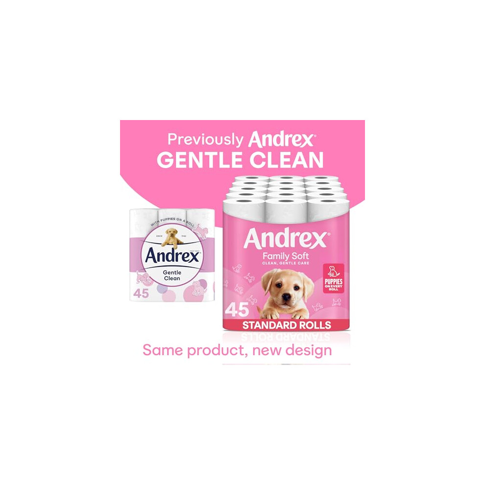 Andrex Family Soft Toilet Tissue 45 Rolls Previously Gentle Clean Gentle On Your Family’s Skin– Bulk Pack Of 45 Toilet Rolls Fsc Certified