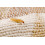 Dragonfli Clothes Moth Egg Killer Sachets - Trichogramma Parasitic 5