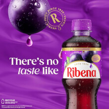 Ribena Blackcurrant Juice Drink 500ml Multipack of 12 Real Fruit Rich In Vitamin C No Artificial Colours or flavous Fruity Refreshment Ready T
