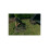 Speero SPEERO Bivvy Mat Green 12